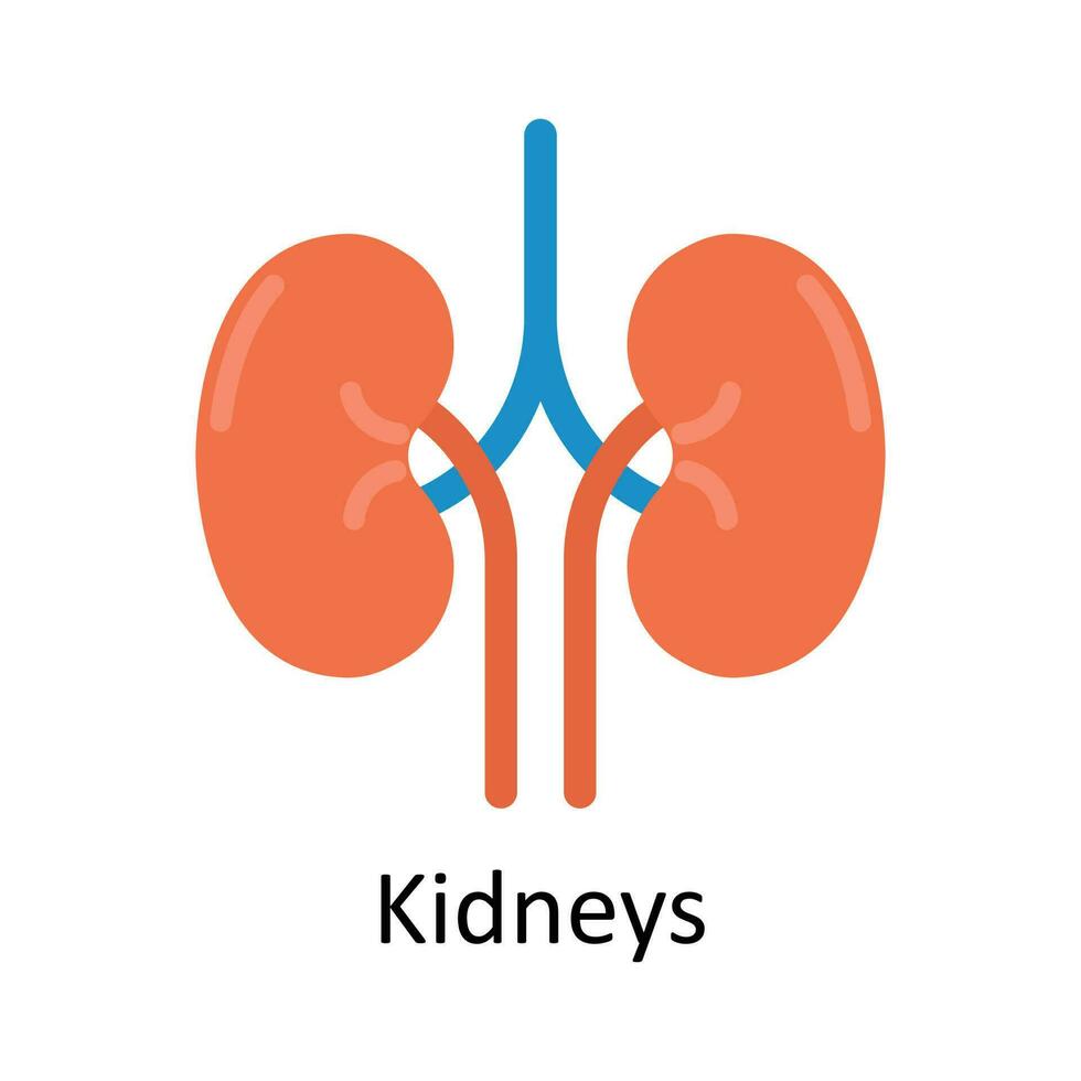rins vetor plano ícone Projeto ilustração. médico e cuidados de saúde símbolo em branco fundo eps 10 Arquivo