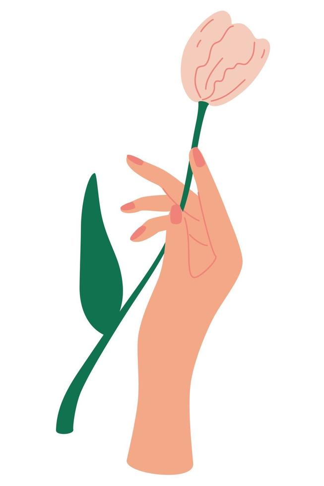 elegante mão feminina segura um buquê decorativo de tulipa, composição florística com folhas e florescente conceito de cartão de dia das mães poster floral elegante com ilustração vetorial de tulipas vetor