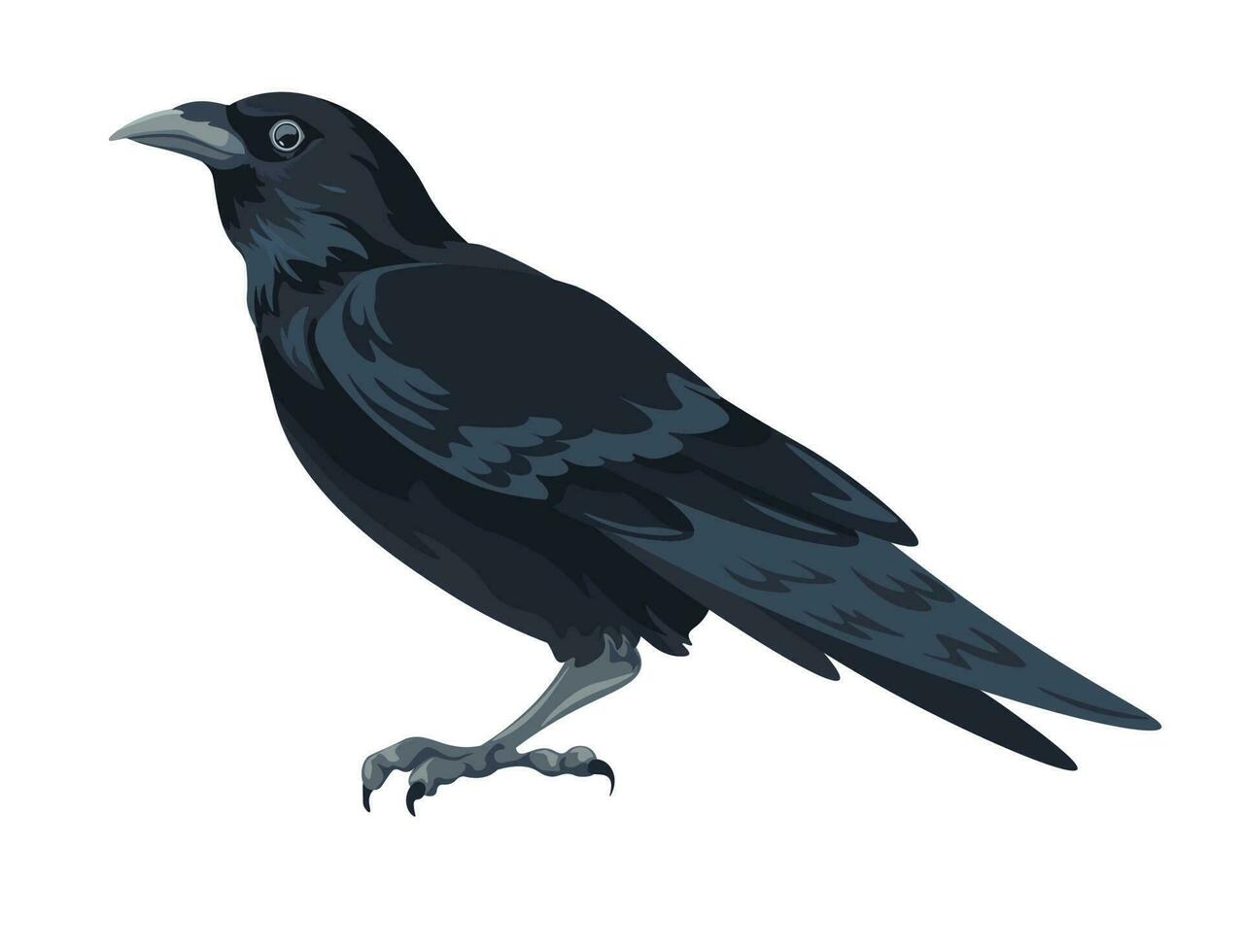 ampla Preto pássaro, Corvo ou Raven aviária animais vetor