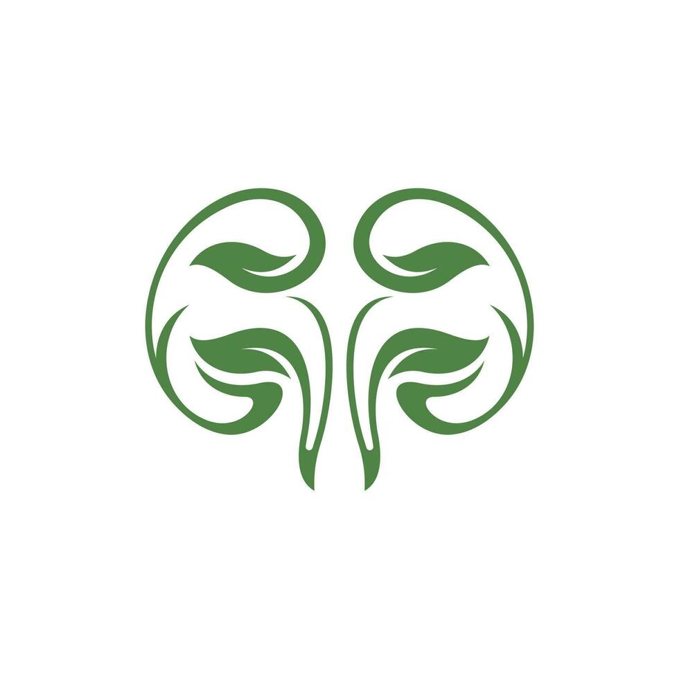 humano rim folha natureza criativo logotipo vetor