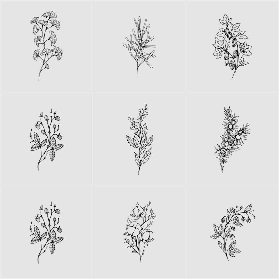 botânico floral ramo e minimalista flores para logotipo ou tatuagem mão desenhado linha flor conjunto vetor