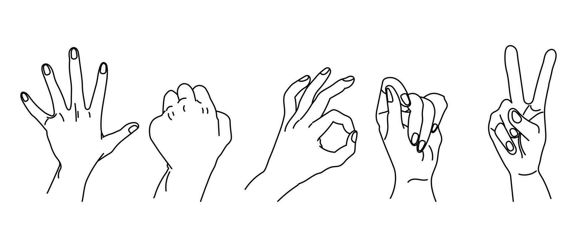 conjunto de contornos desenhados de mãos humanas. conjunto de mãos em uma coleção de vários gestos, ilustração vetorial no estilo de um esboço linear simples vetor