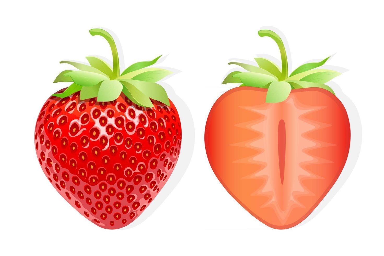 ilustração de fatia de fruta doce de morango para web isolada no fundo branco vetor