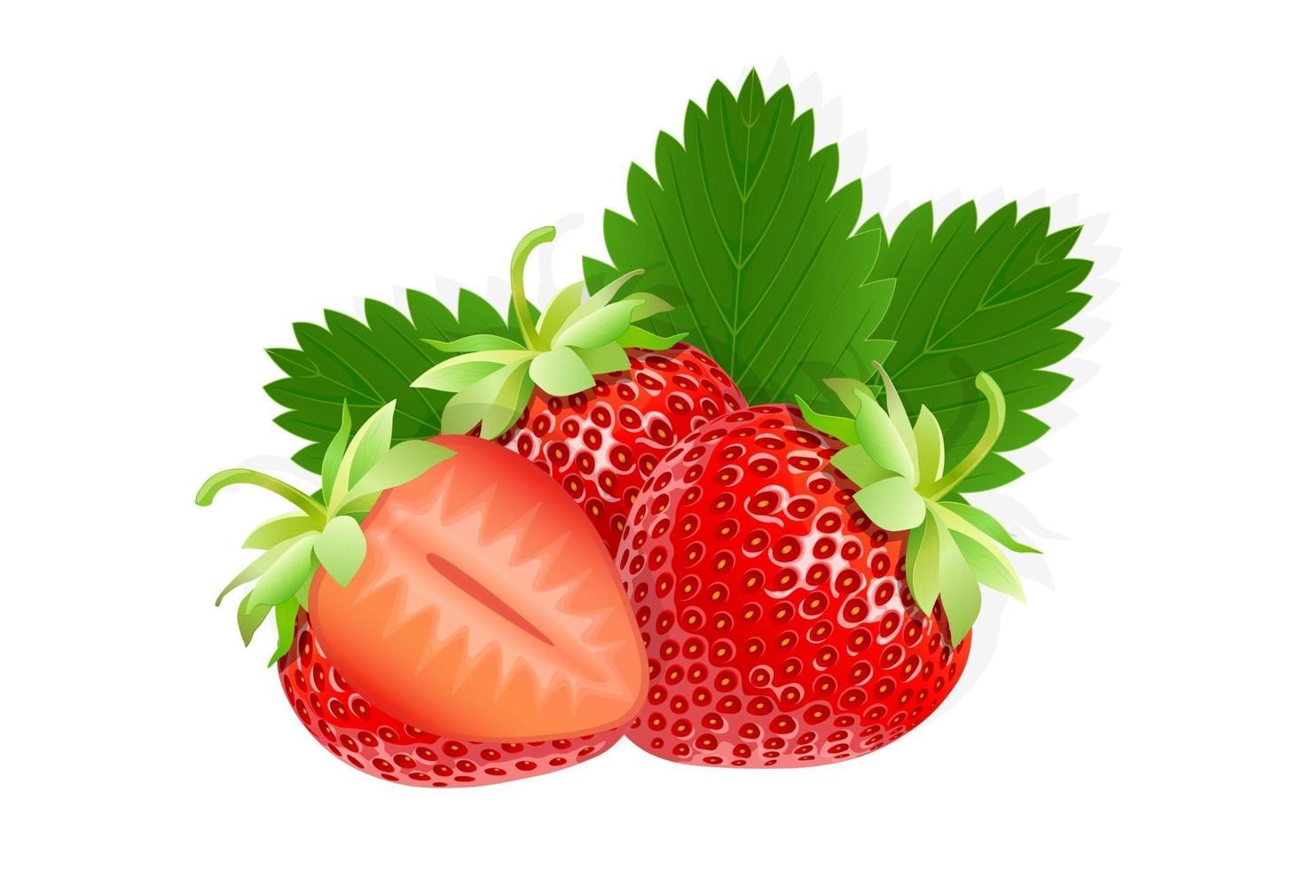 ilustração de morango doce para web isolada no fundo branco vetor