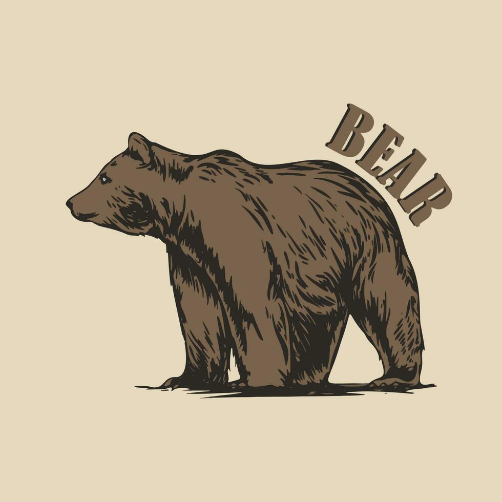 Urso vetor arte, ilustração e gráfico