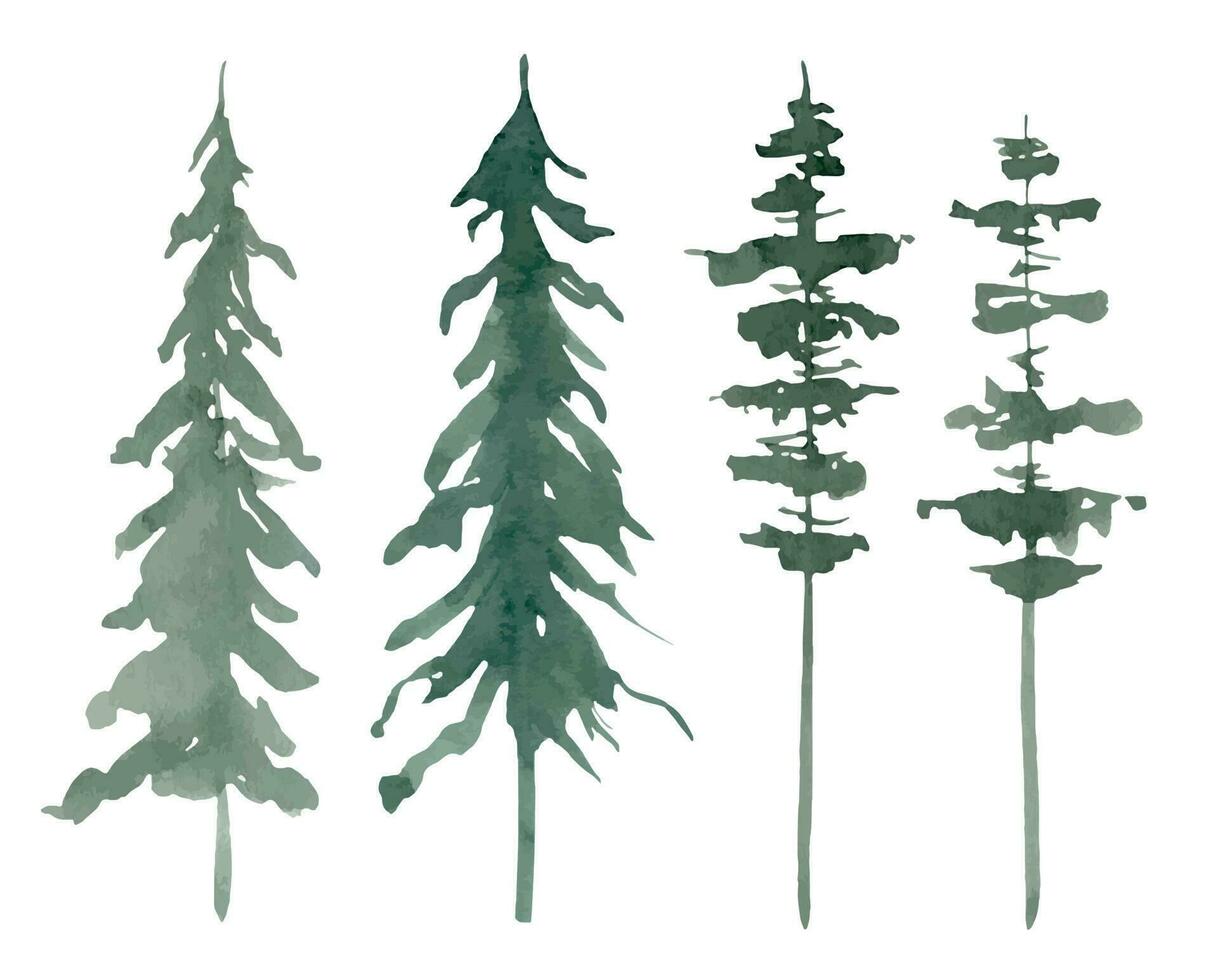 pinho e abeto árvores mão desenhado aguarela conjunto com ilustrações do verde abeto em branco isolado fundo. desenhando do floresta plantas. silhuetas do sempre-verde bosque para clipart. artístico pacote. vetor