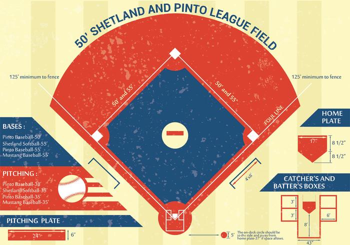 Projeto de vetor de infográfico de parque de beisebol
