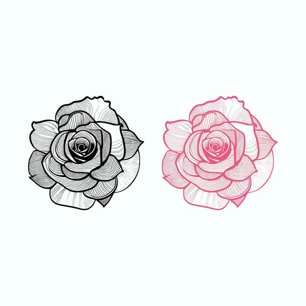 rosas mão desenhado lápis esboço, coloração página, e livro, rosa flor contorno, ilustração tinta arte. rosa vetor arte.