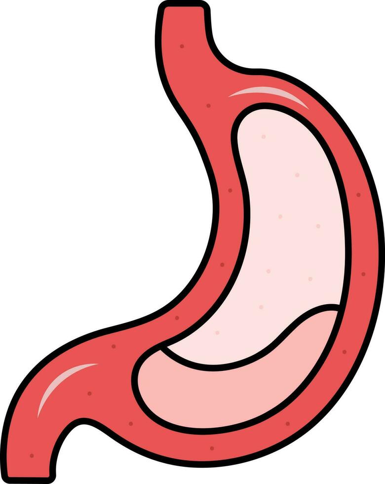 vermelho ilustração do estômago estrutura ícone. vetor