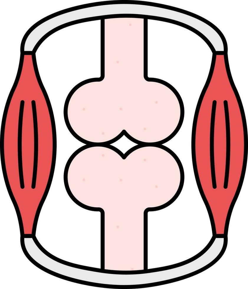 sinovial articulação estrutura plano ícone dentro Rosa e vermelho cor. vetor