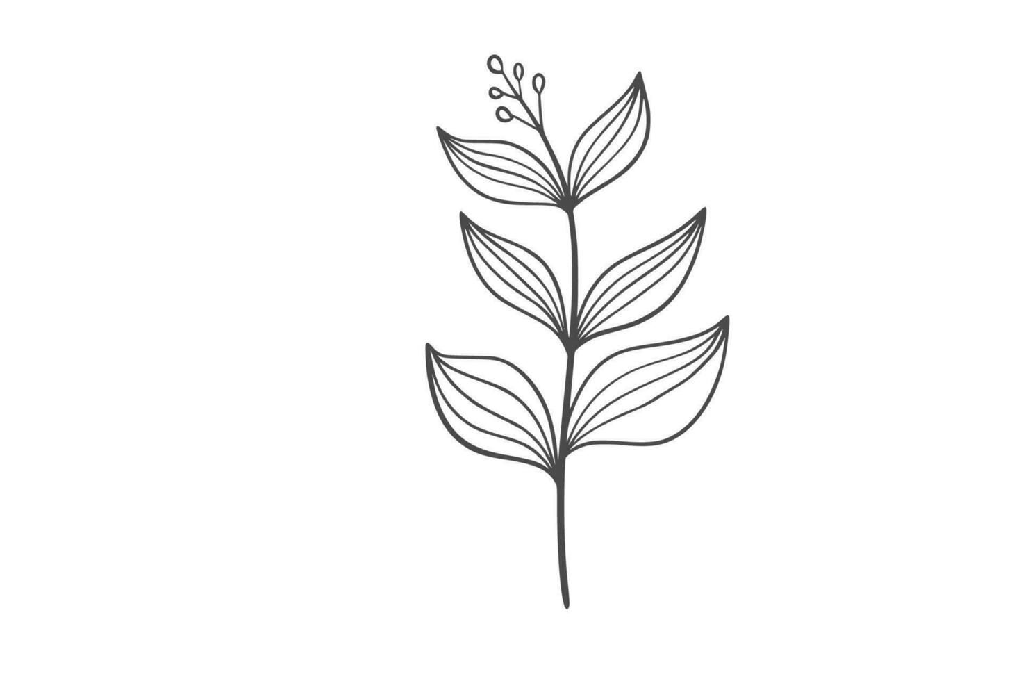 planta selvagem linha arte ilustração vetor