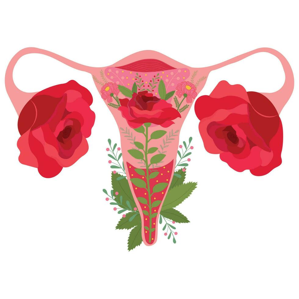 órgão do a útero com rosa flores, feminino natureza. vetor