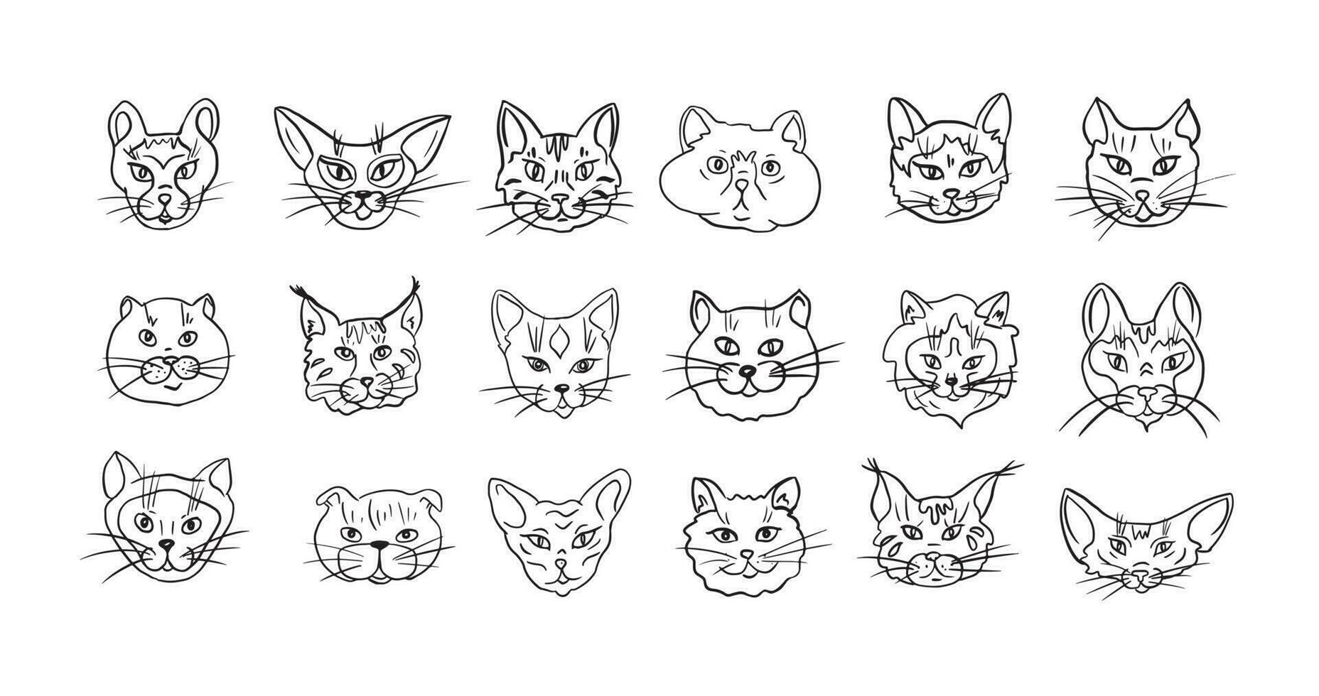 conjunto do diferente raças do gatos desenhado dentro vector.icons para petshops, bandeiras, Publicidades. rabisco estilo, vetor ilustração