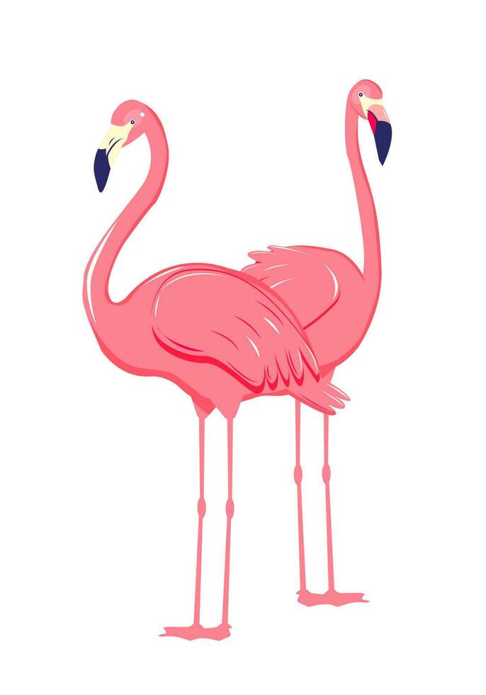 dois Rosa flamingo. fofa e lindo plano Rosa flamingo em branco fundo, verão Projeto para imprimir, crianças desenho, Projeto para camiseta, poster, bandeira, Projeto para tecido e têxtil vetor