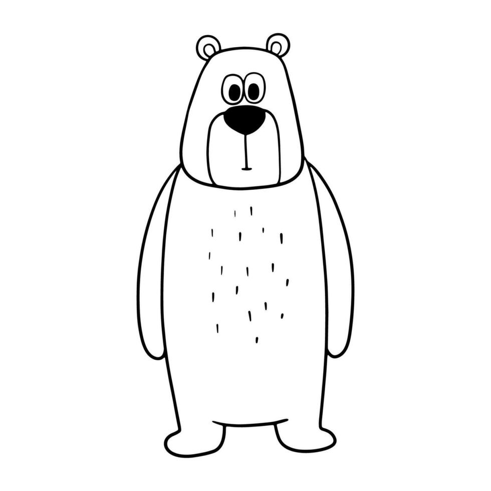 fofa linha engraçado urso. mão desenhado personagem floresta animal isolado em branco fundo. bosque esboço ilustração para coloração livro vetor