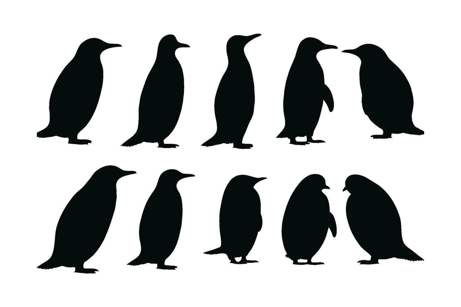 fofa pinguim em pé silhueta conjunto em uma branco fundo. selvagem sem vôo pássaro silhueta agrupar Projeto. herbívoro pinguins em pé dentro diferente posições. pinguim cheio corpo silhueta coleção vetor