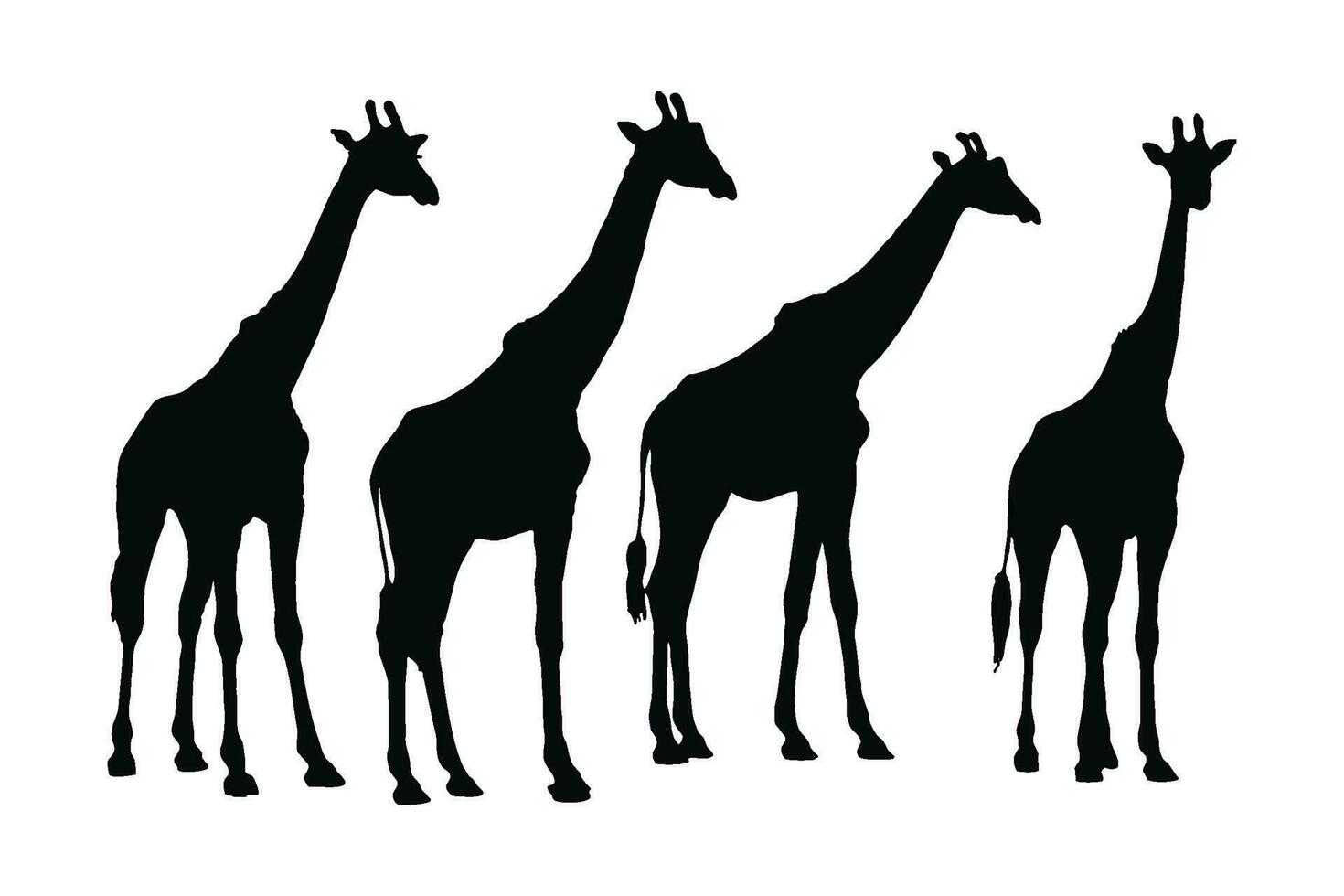 alta girafa silhueta pacote. girafa em pé silhueta conjunto vetor. selvagem girafa caminhando silhueta agrupar Projeto. selvagem camelopardo vetor em uma branco fundo. camelopardo dentro diferente posições.