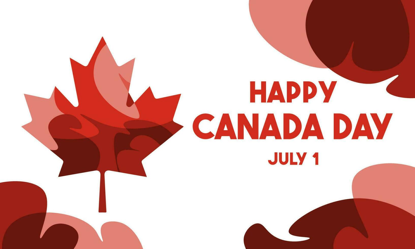 feliz Canadá dia bandeira com fluido ondulado vermelho bordo em branco fundo vetor