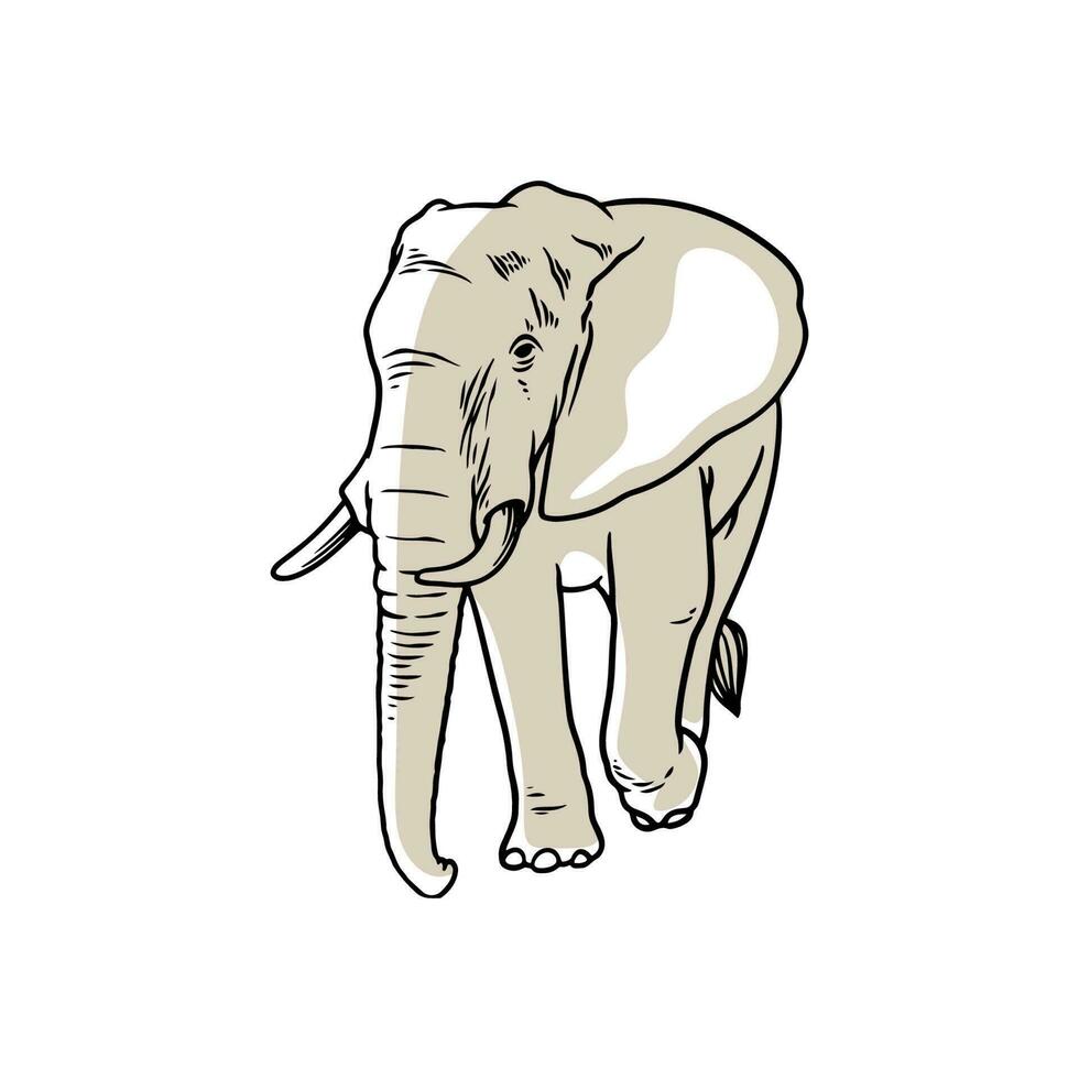 elefante mão desenhando esboço vetor