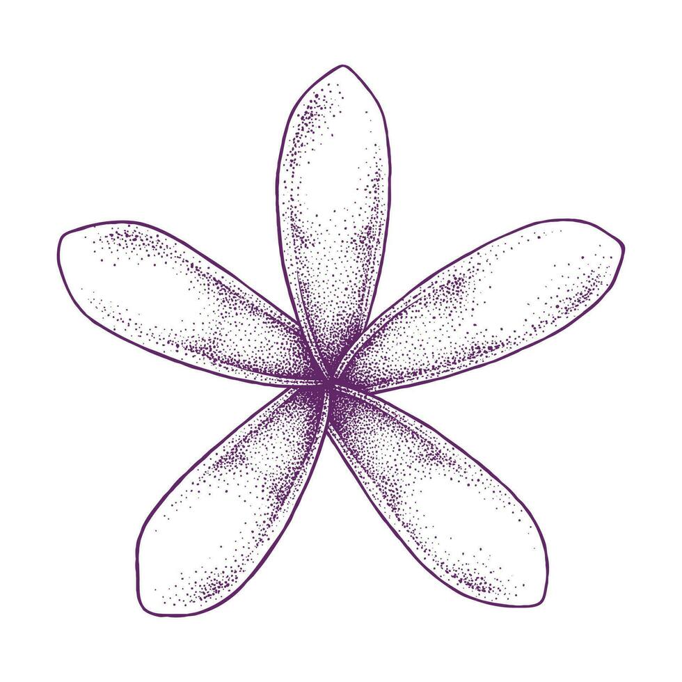 frangipani flor pontilismo mão desenhado vetor