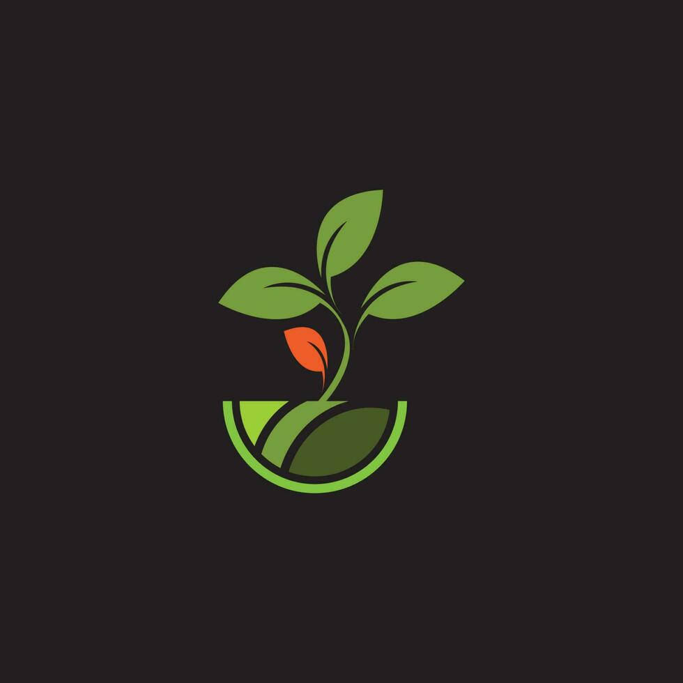 logotipo da planta orgânica vetor
