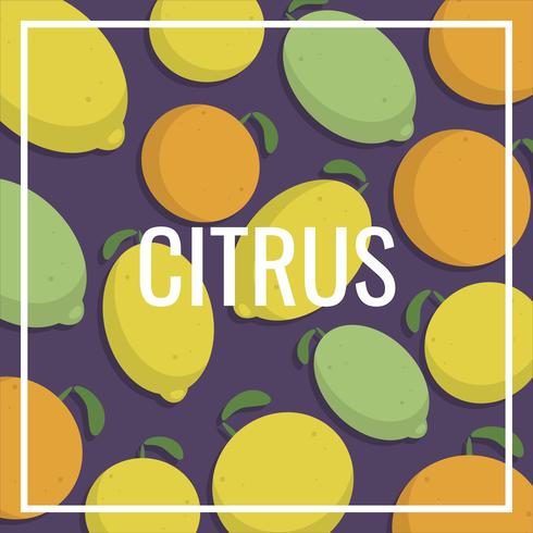 Ilustração Vintage Citrus Lemon Fruits Pattern vetor