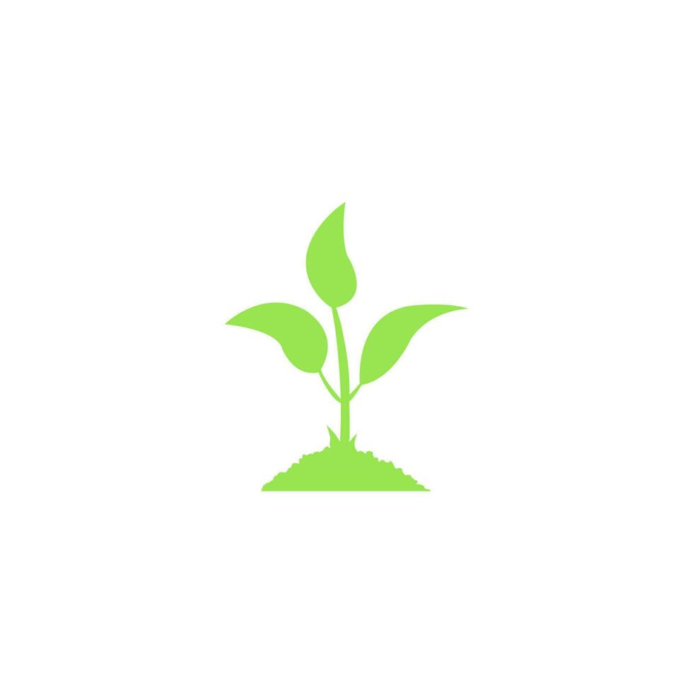vetor ícone logotipo natural, ervas, orgânico, folhas.