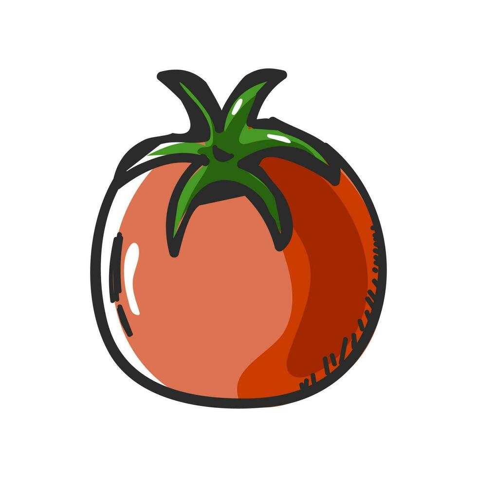 ilustração do tomate rabisco elemento em branco fundo. vetor