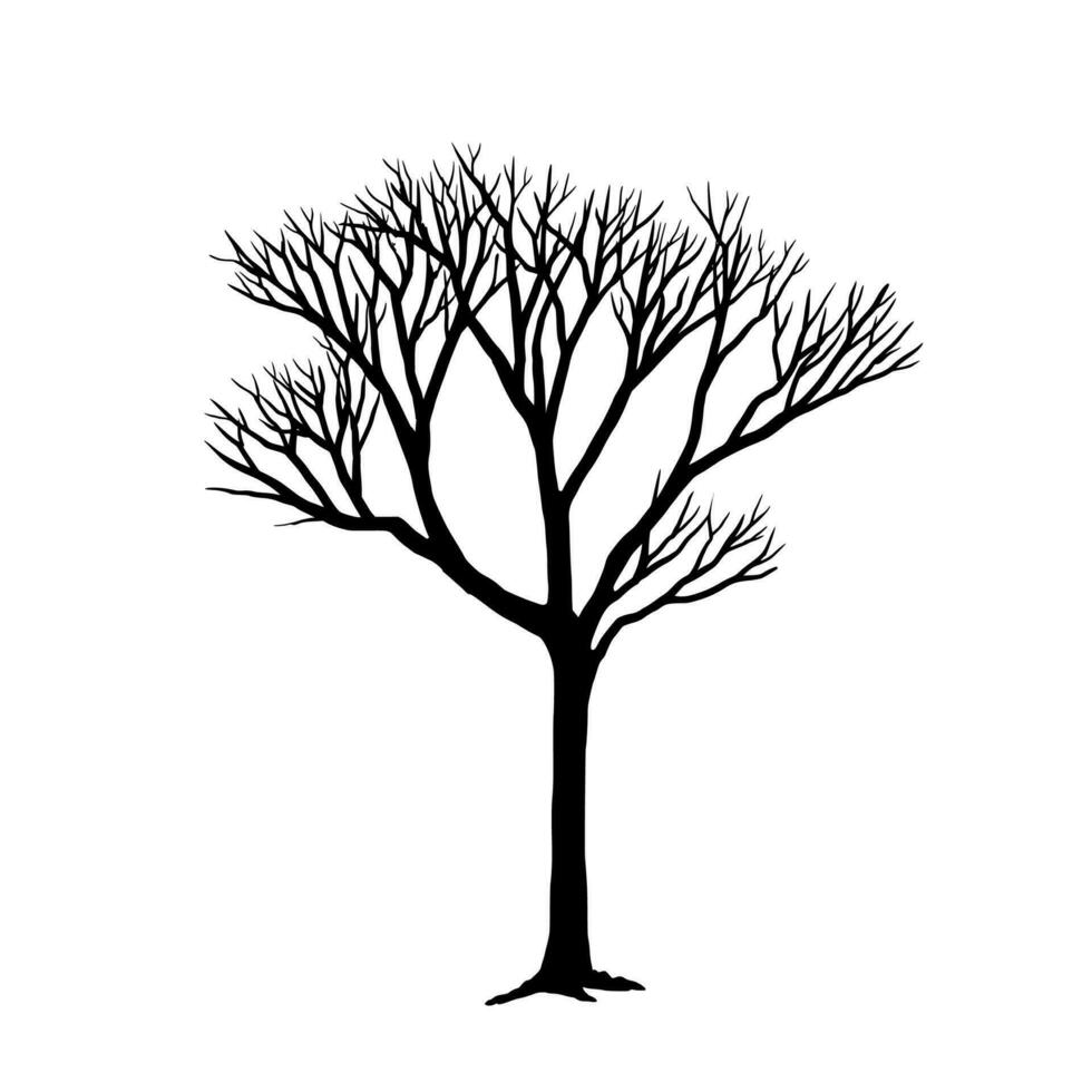 vetor nu árvore silhueta ilustração
