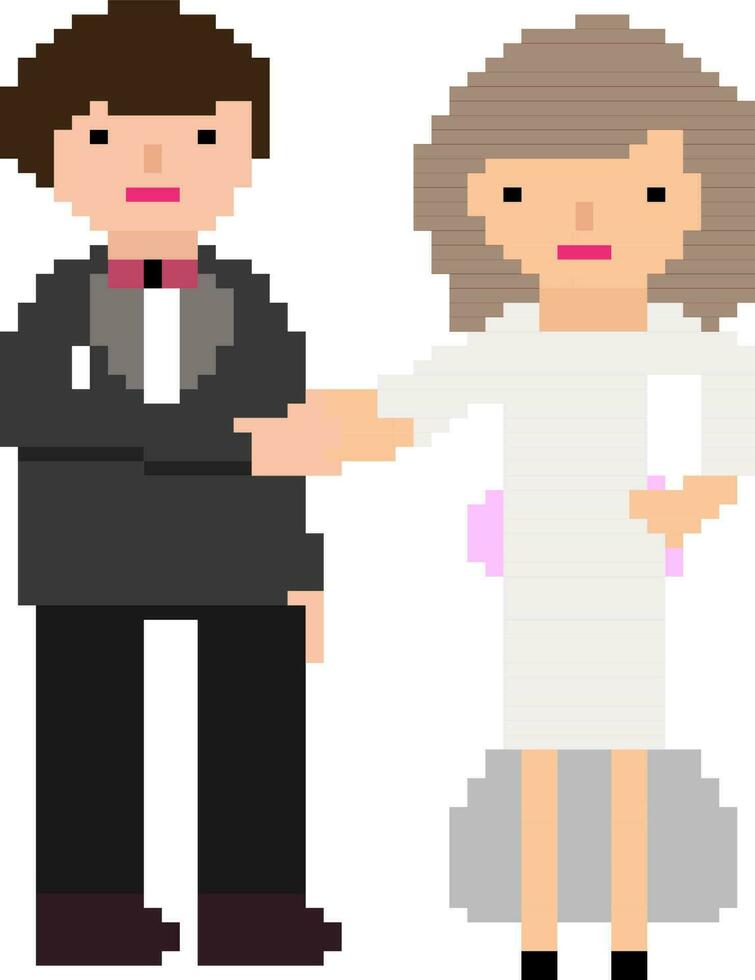 pixel arte ilustração do casal. vetor