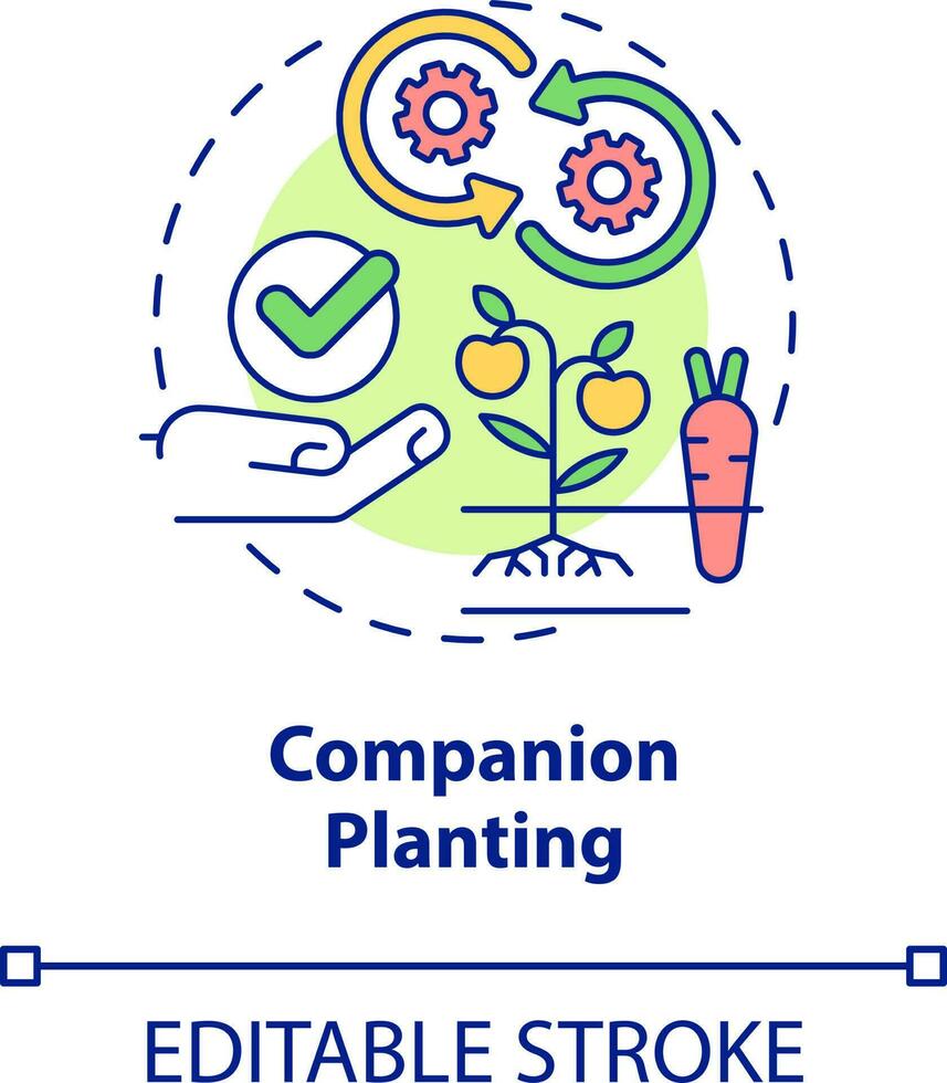 companheiro plantio conceito ícone. plantio diferente cultivo junto. jardinagem método abstrato idéia fino linha ilustração. isolado esboço desenho. editável acidente vascular encefálico vetor