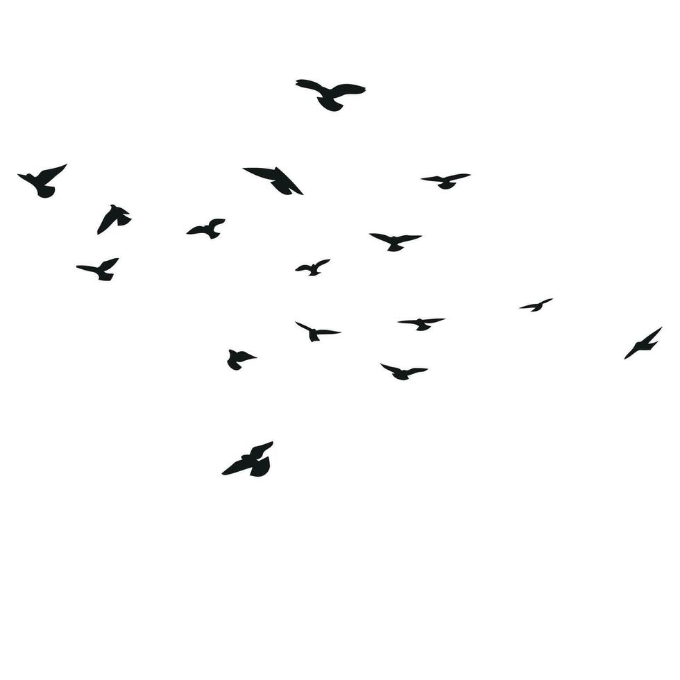 silhueta esboço do uma rebanho do vôo pássaros, voar dentro diferente posições. flutuar, subindo, pousar, vôo, vibração vetor