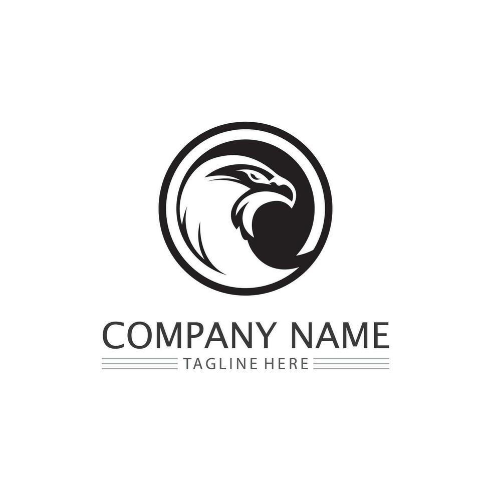 falcon logo template vector