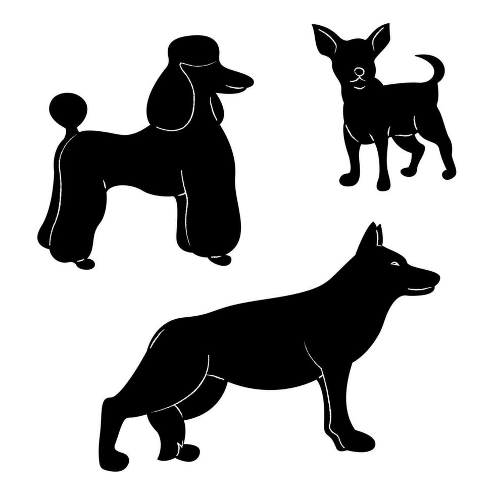 uma pequeno conjunto do chihuahua, alemão pastor e poodle silhuetas. rabisco Preto e branco vetor ilustração.