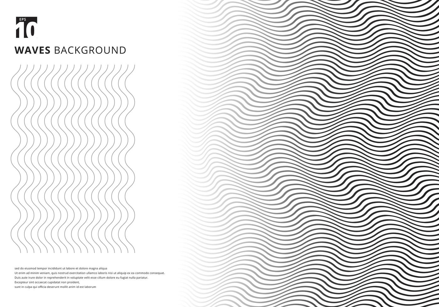modelo abstrato listras onduladas pretas curvas textura de linhas onduladas em fundo branco com espaço de cópia. curvas 3d na moda modernas. vetor
