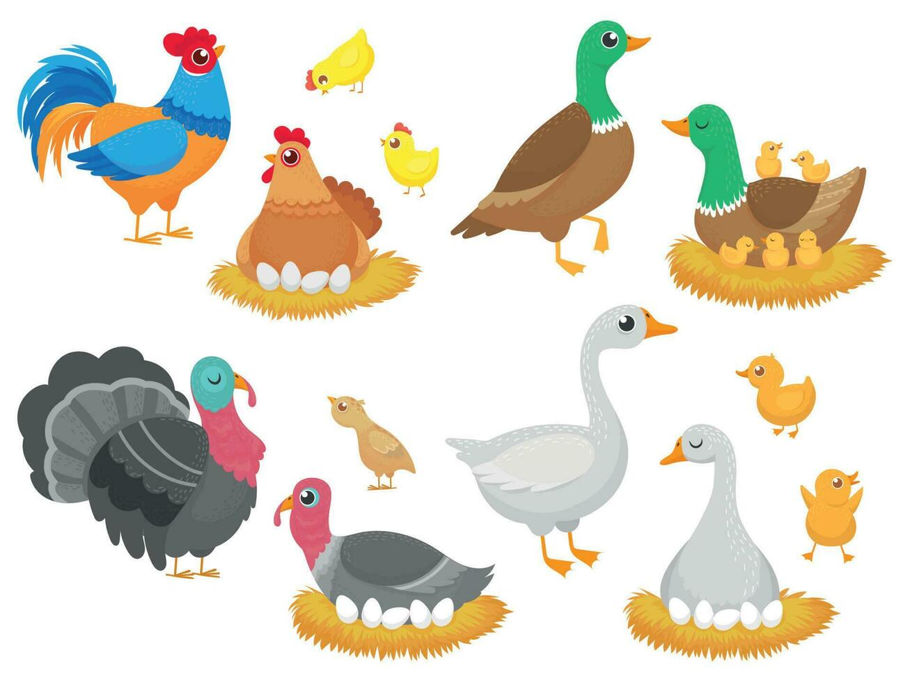 Fazenda pássaros. aves de capoeira frango, Ganso Pato pássaro e Peru família ninho isolado desenho animado vetor conjunto