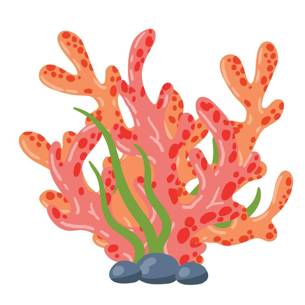 coral recife e algas marinhas embaixo da agua plantar. aquário, oceano e submarino decoração isolado em branco fundo. marinho tropical água vida. desenho animado vetor ilustração