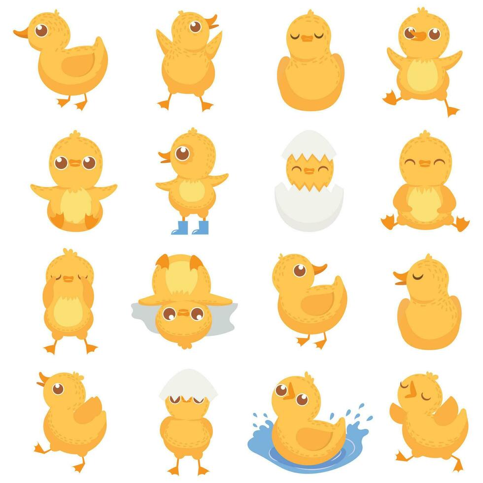 amarelo patinho. fofa Pato garota, pequeno patos e patinho bebê isolado desenho animado vetor ilustração