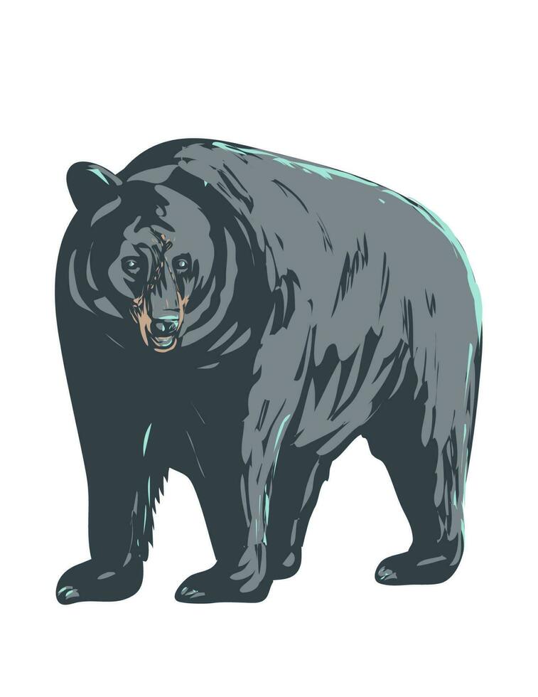 americano Preto Urso frente Visão wpa poster arte vetor