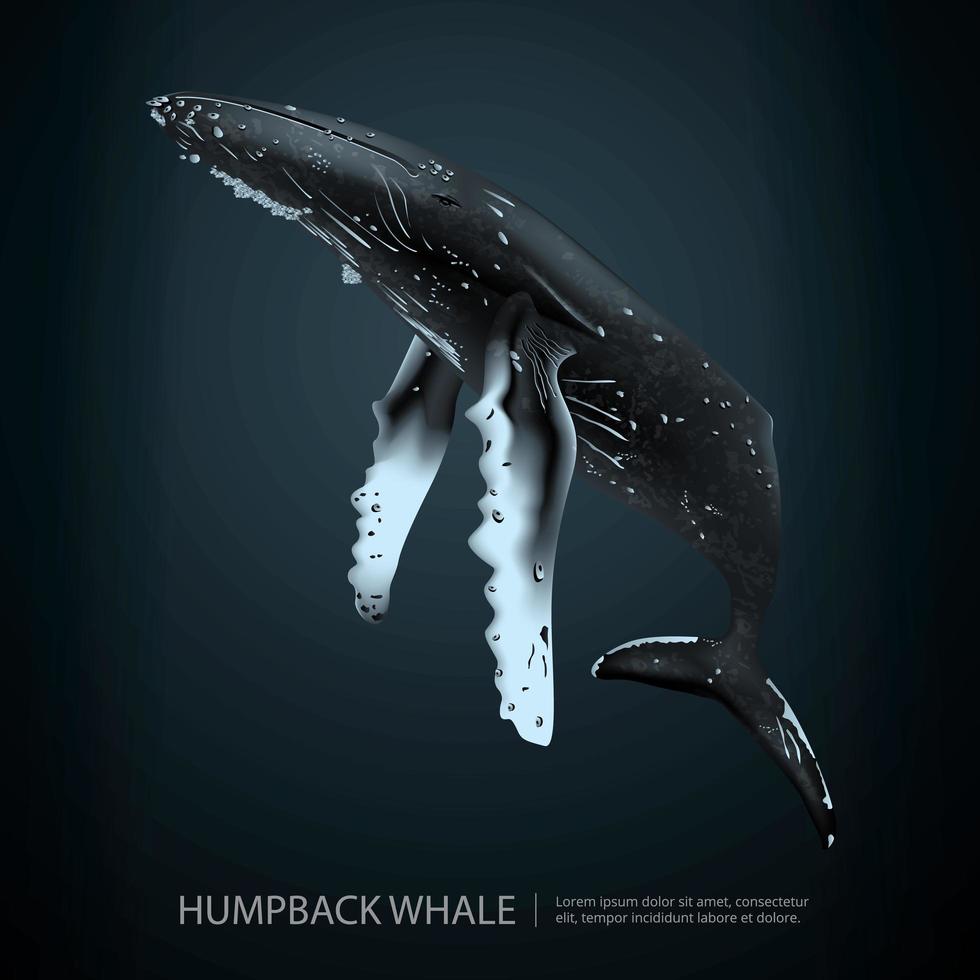 ilustração vetorial de baleia jubarte no fundo do mar vetor