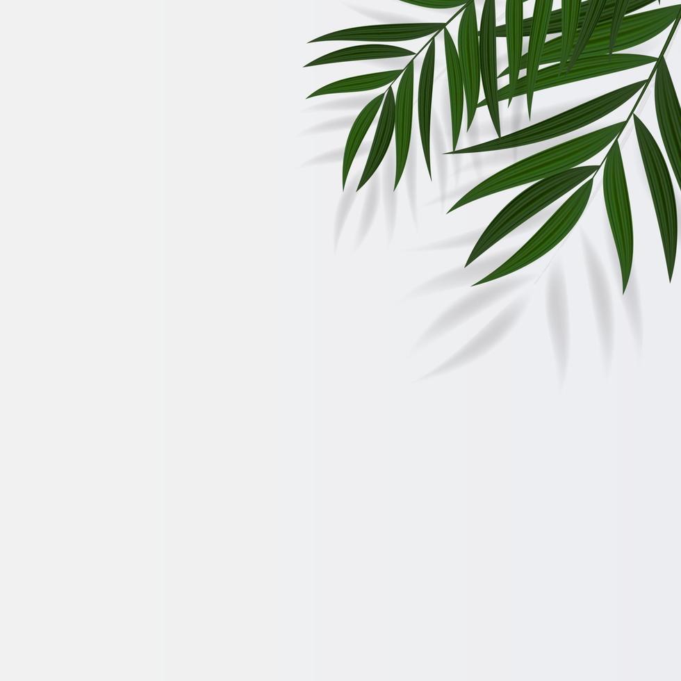 fundo tropical em folha de palmeira verde realista abstrato vetor