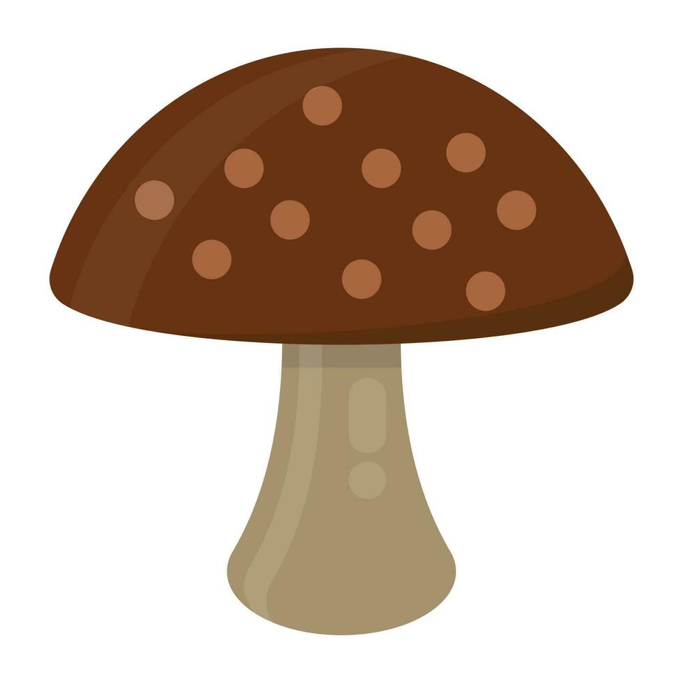 uma especial tipo do cogumelo é desenhado aqui, isto é shiitake cogumelo vetor