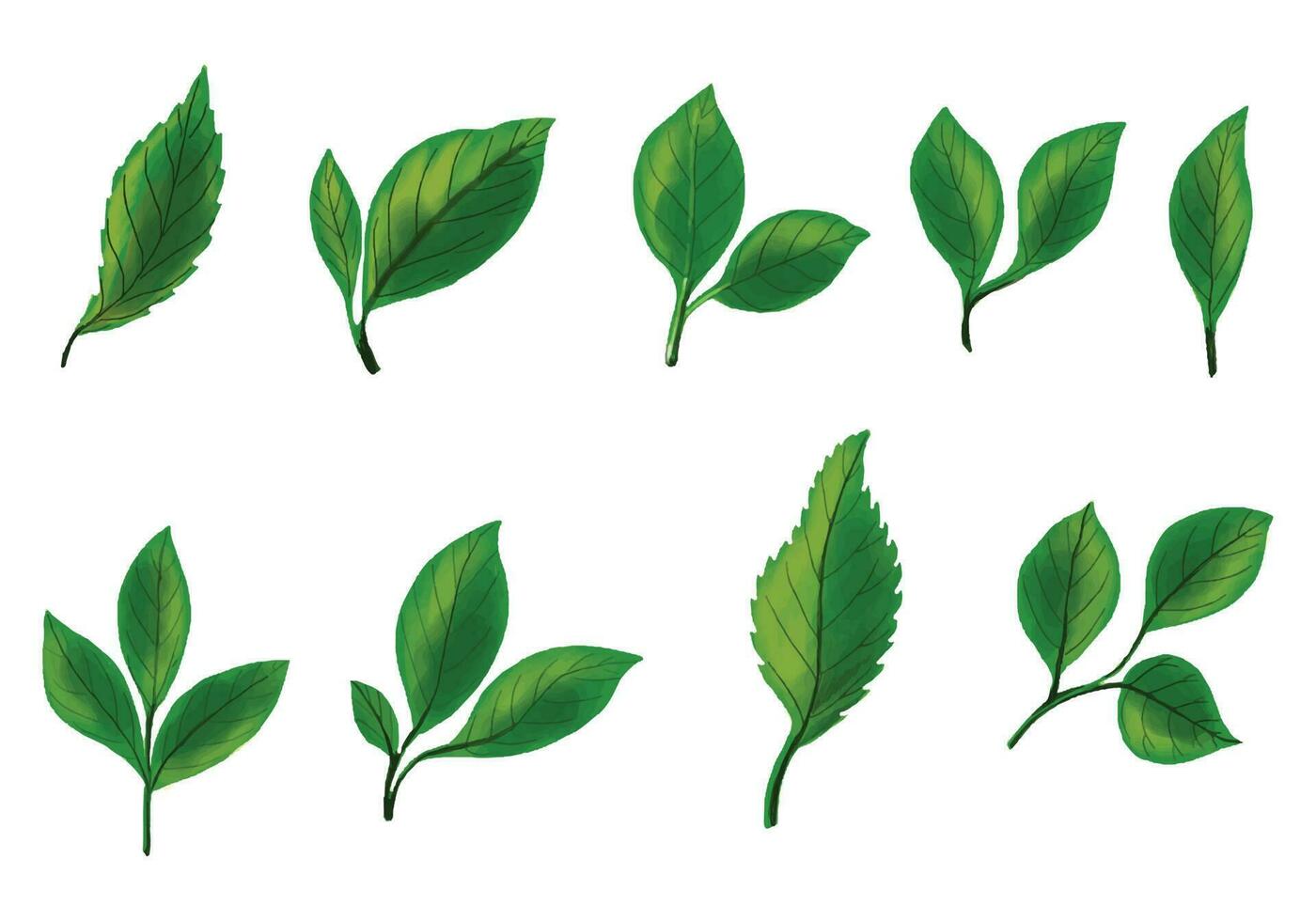 realista tropical plantas verde folha conjunto Projeto vetor