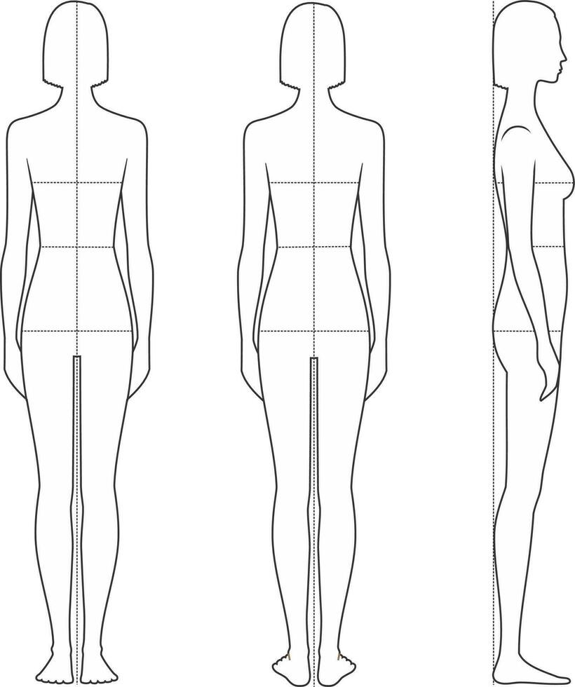 mulheres figura. corpo proporções para de costura roupas. busto, cintura, ancas linhas. fêmea silhueta. frente, voltar, lado Visualizações. vetor ilustração.