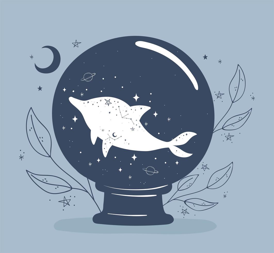 astrologia bola de golfinho vetor