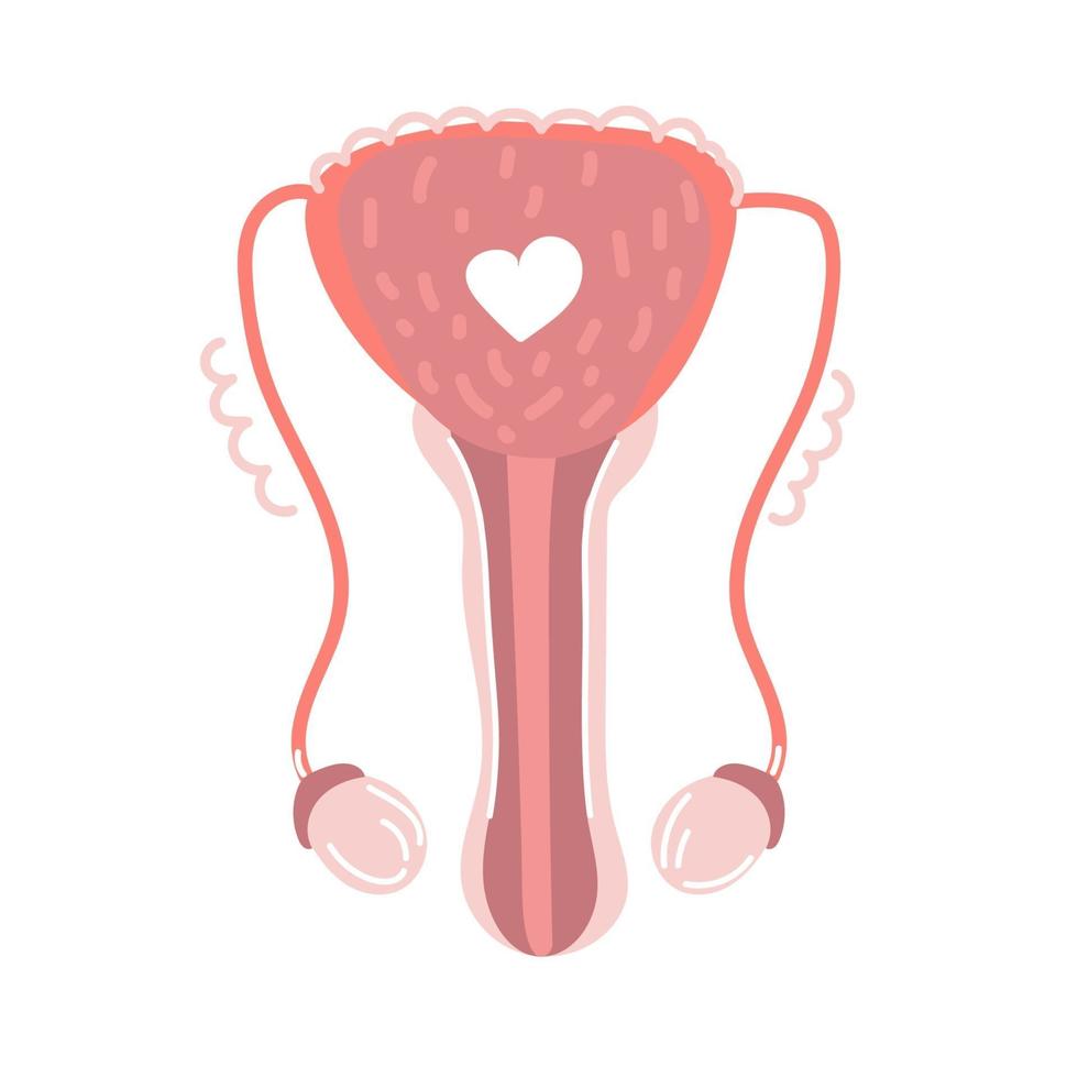 mão desenhada sistema reprodutivo masculino saúde órgãos internos humanos anatomia ilustração plana vetor