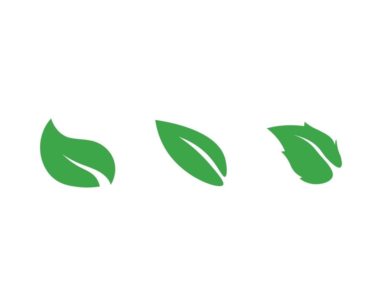 árvore folha vector logo design logotipo da planta da natureza para logotipo da natureza e ícone do vetor