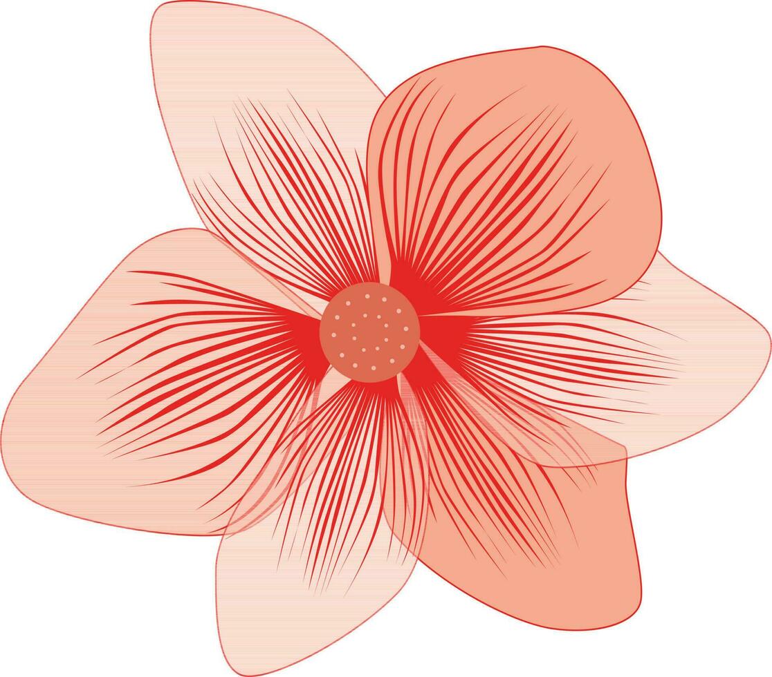 lindo frangipani plumeria flor. vetor