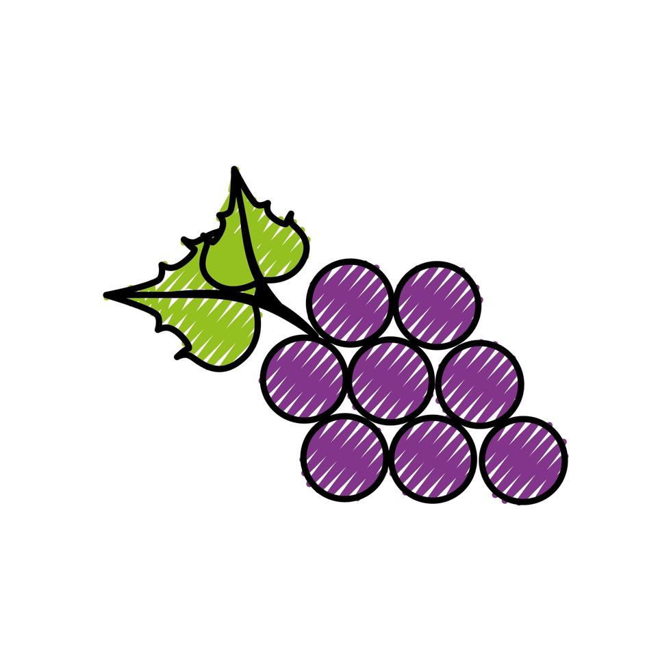 ícone de cacho de uvas vetor