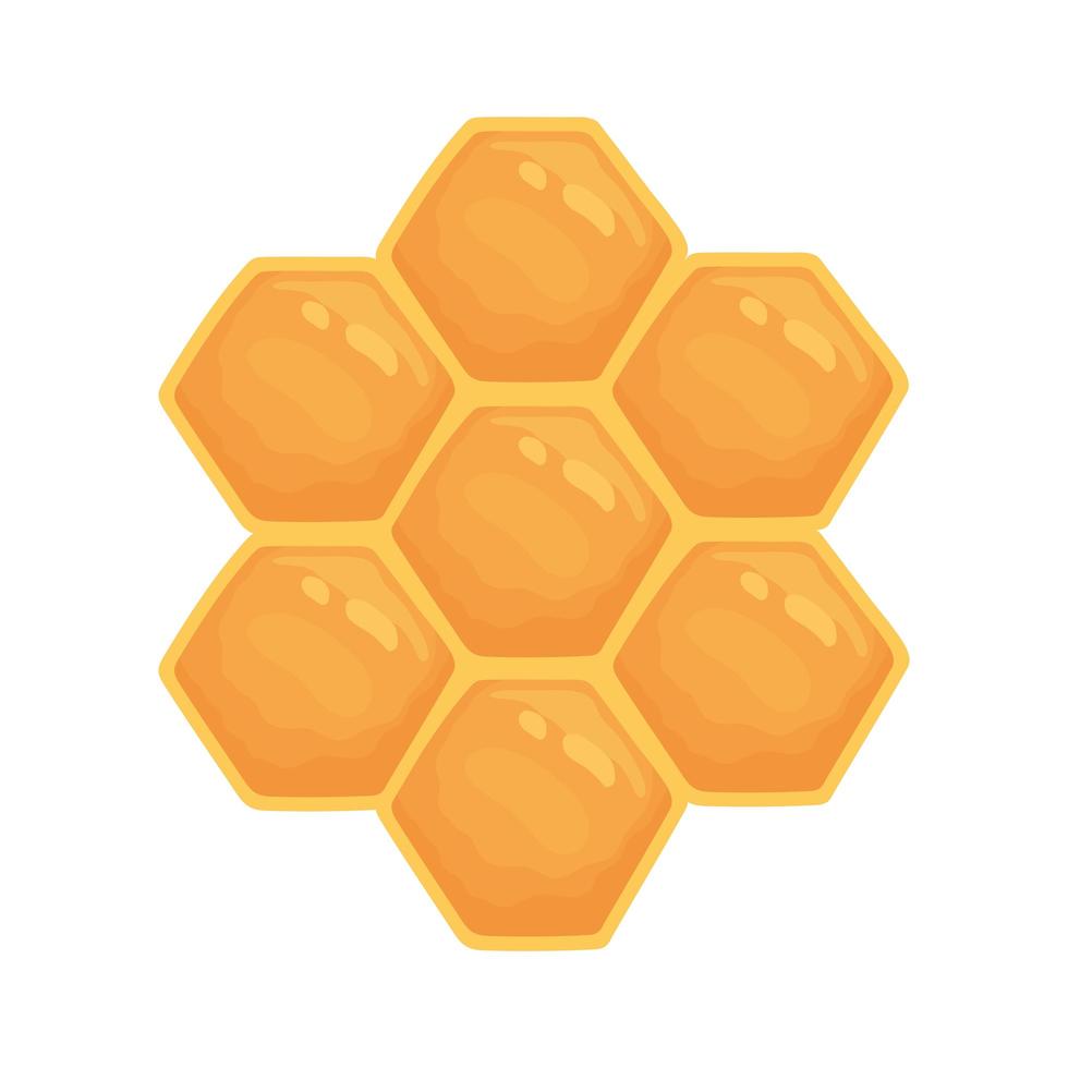 Honeycomb sweey mel vetor